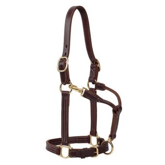 Weaver Leather Halter 